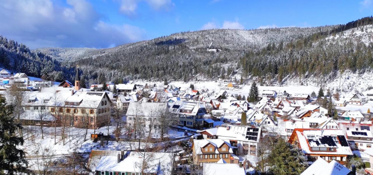 Ferienwohnung Tannenballett Im Schwarzwald バイアースブロン エクステリア 写真