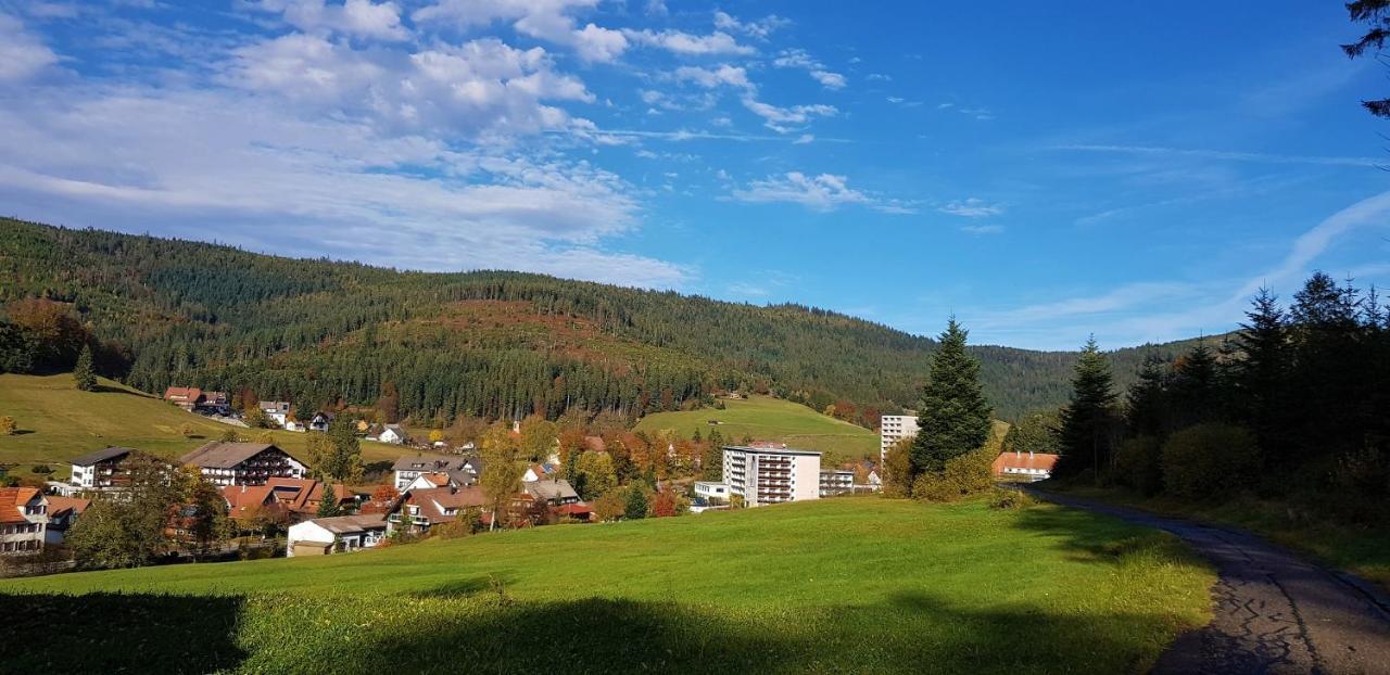 Ferienwohnung Tannenballett Im Schwarzwald バイアースブロン エクステリア 写真