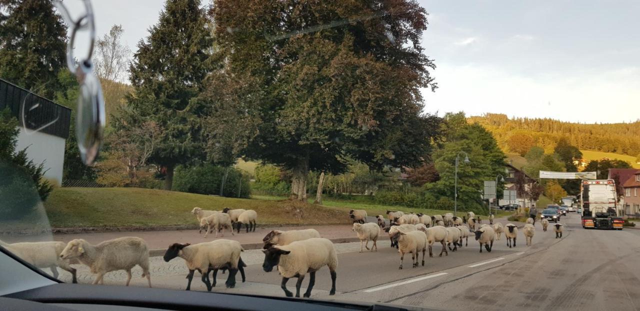 Ferienwohnung Tannenballett Im Schwarzwald バイアースブロン エクステリア 写真