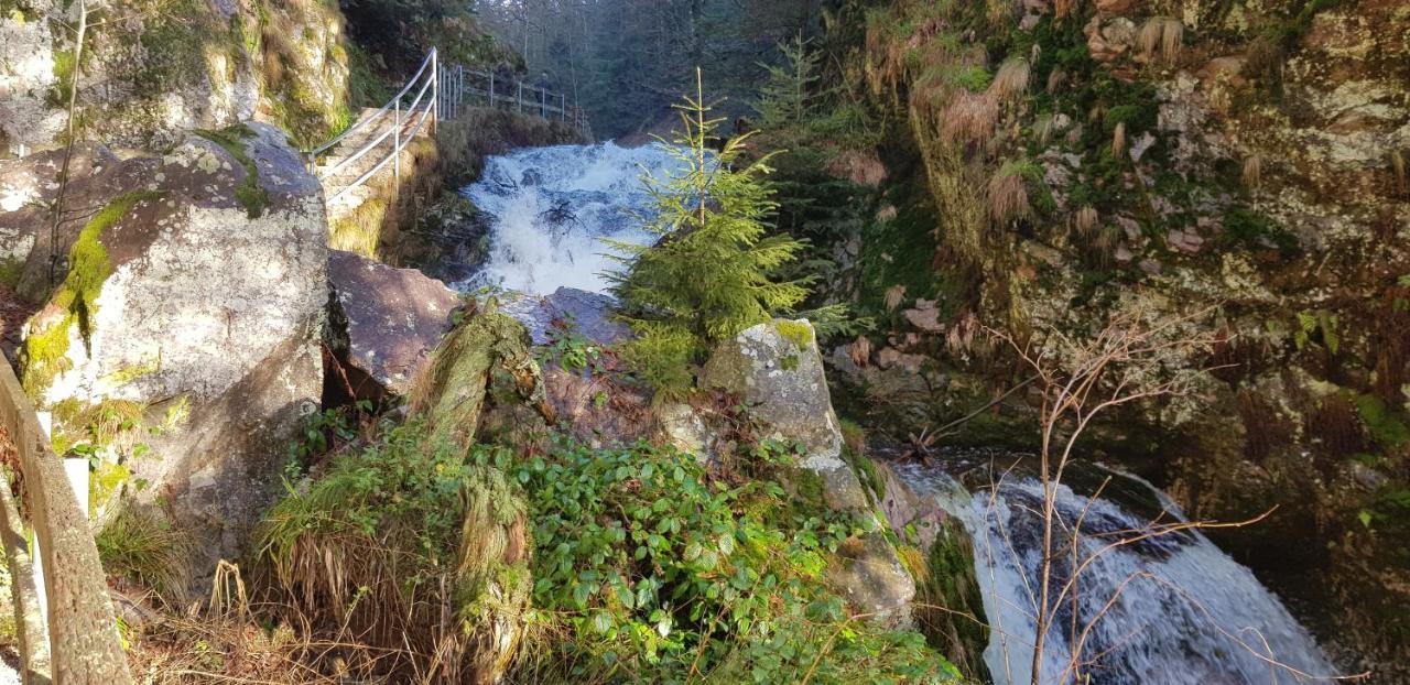 Ferienwohnung Tannenballett Im Schwarzwald バイアースブロン エクステリア 写真