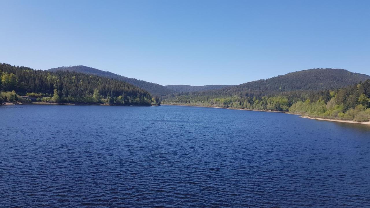 Ferienwohnung Tannenballett Im Schwarzwald バイアースブロン エクステリア 写真