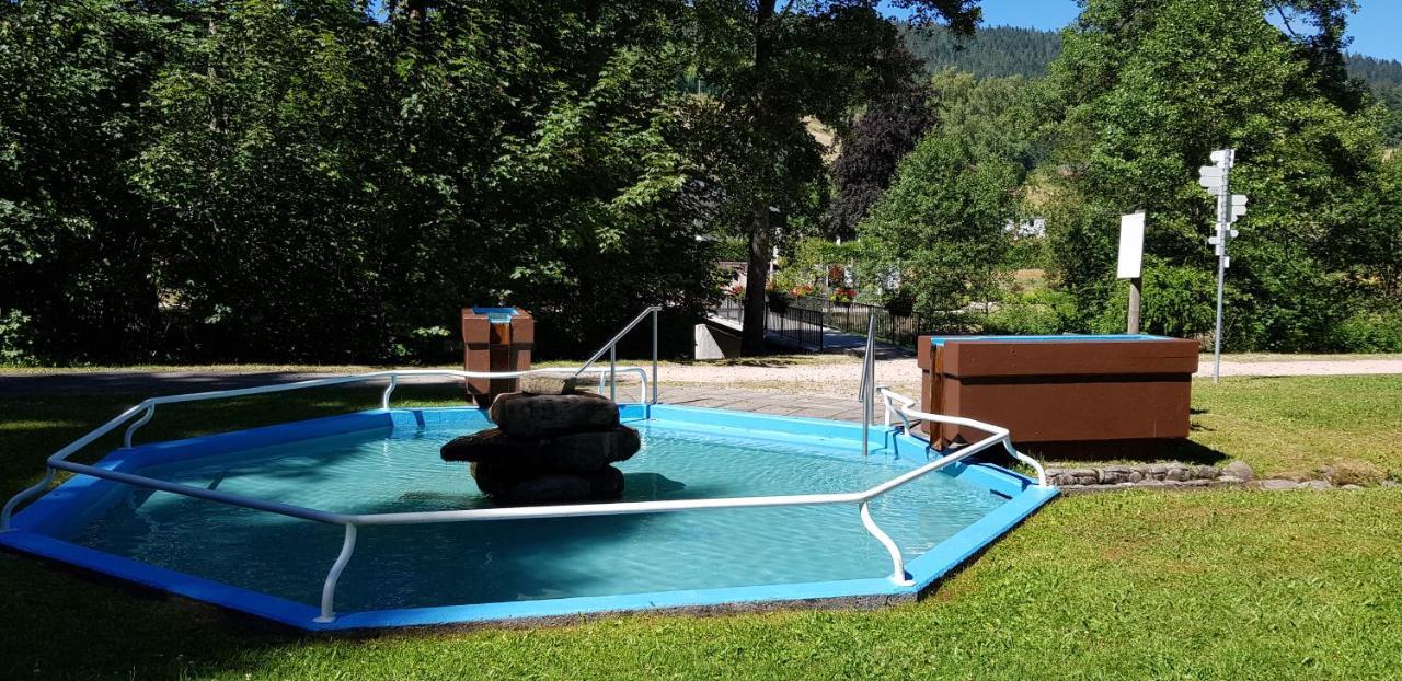 Ferienwohnung Tannenballett Im Schwarzwald バイアースブロン エクステリア 写真