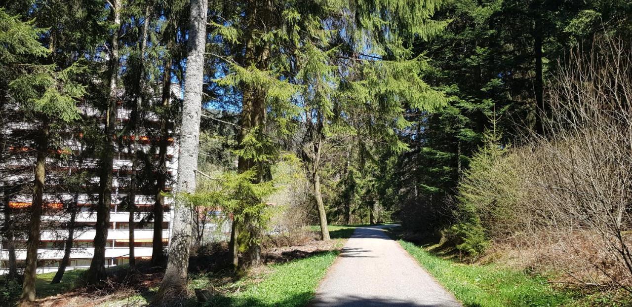 Ferienwohnung Tannenballett Im Schwarzwald バイアースブロン エクステリア 写真