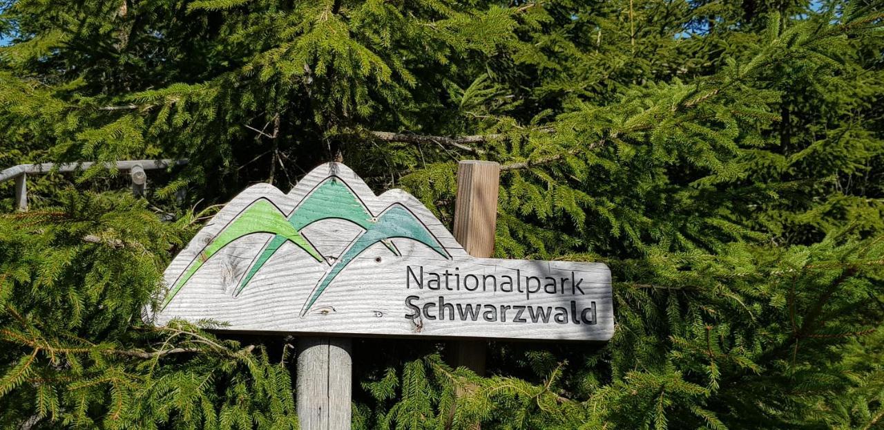 Ferienwohnung Tannenballett Im Schwarzwald バイアースブロン エクステリア 写真