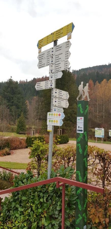 Ferienwohnung Tannenballett Im Schwarzwald バイアースブロン エクステリア 写真