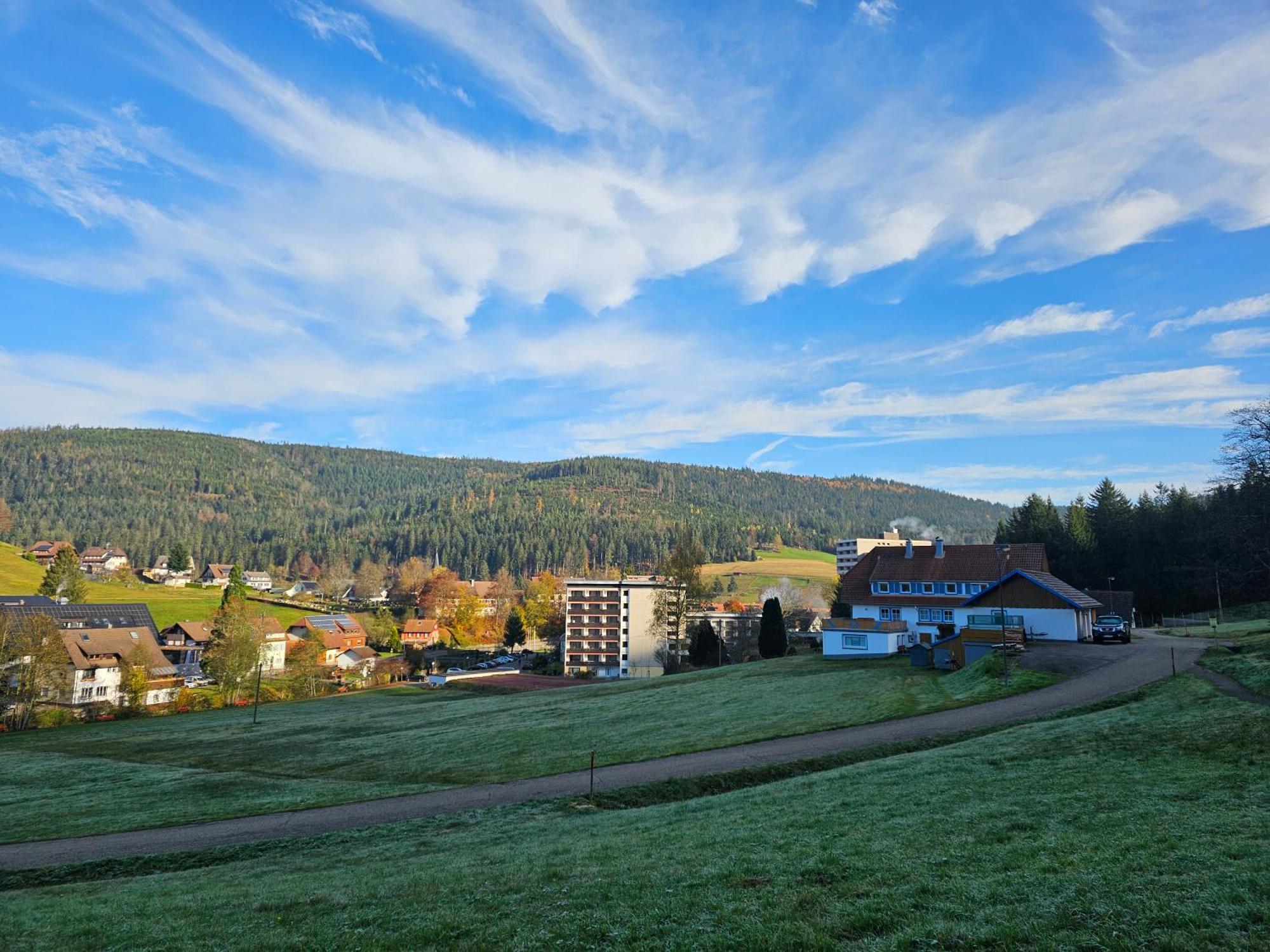 Ferienwohnung Tannenballett Im Schwarzwald バイアースブロン エクステリア 写真