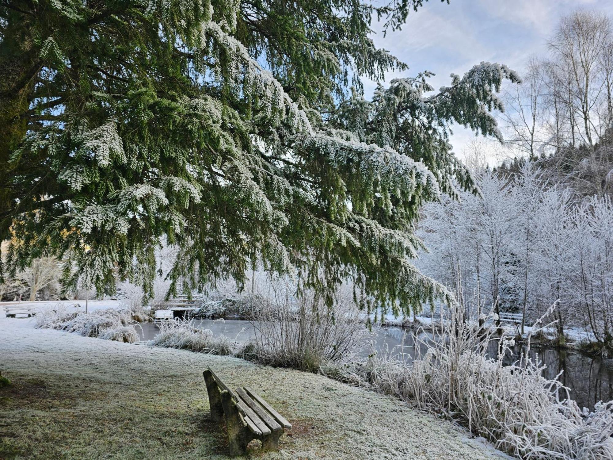 Ferienwohnung Tannenballett Im Schwarzwald バイアースブロン エクステリア 写真